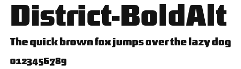 District-BoldAlt Preview