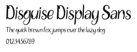 Disguise Display Sans Preview