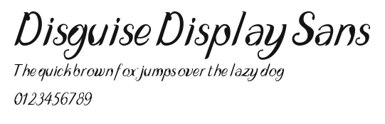 Disguise Display Sans Preview