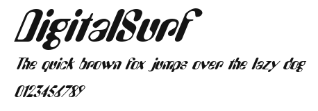 DigitalSurf Preview