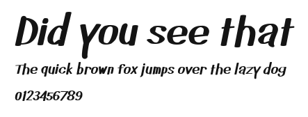 Did you see that.ttf