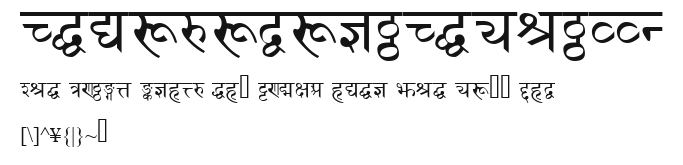 DevanagariDelhiSSK.ttf