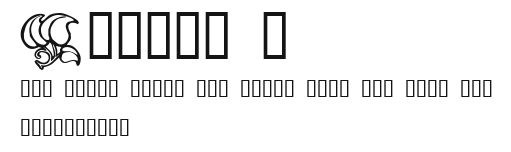 Design 6 Preview