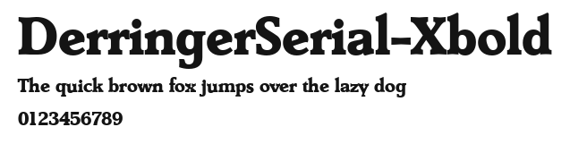 DerringerSerial-Xbold Preview