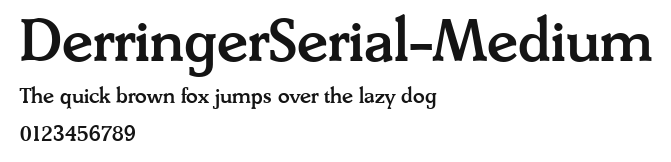 DerringerSerial-Medium Preview