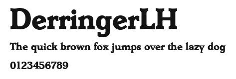 DerringerLH Preview