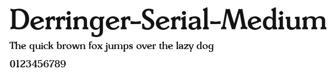 Derringer-Serial-Medium Preview