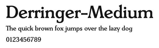 Derringer-Medium Preview