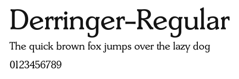Derringer-Regular Preview