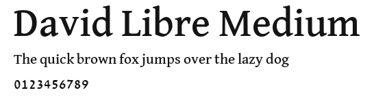 David Libre Medium Preview
