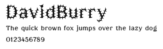 DavidBurry Preview