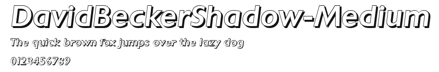 DavidBeckerShadow-Medium Preview