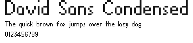 David Sans Condensed Preview