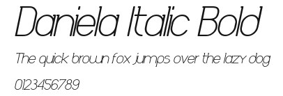 Daniela Italic Bold Preview