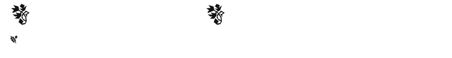 DamoselDingbats Preview