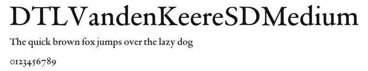 DTLVandenKeereSDMedium Preview