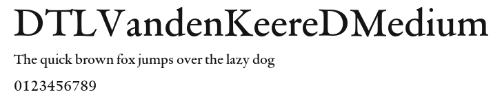 DTLVandenKeereDMedium Preview