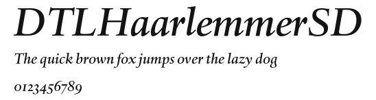 DTLHaarlemmerSD Preview