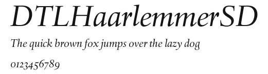 DTLHaarlemmerSD Preview