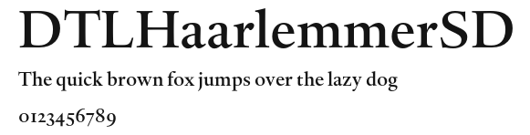 DTLHaarlemmerSD Preview