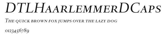 DTLHaarlemmerDCaps Preview