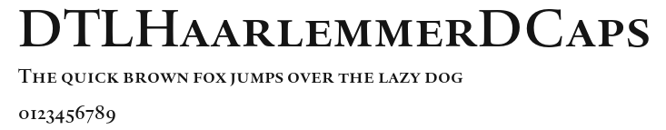 DTLHaarlemmerDCaps Preview