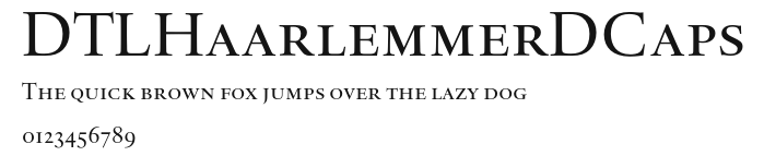 DTLHaarlemmerDCaps Preview