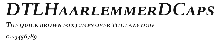 DTLHaarlemmerDCaps Preview