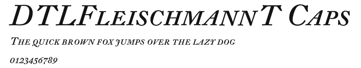 DTLFleischmannT Caps Preview