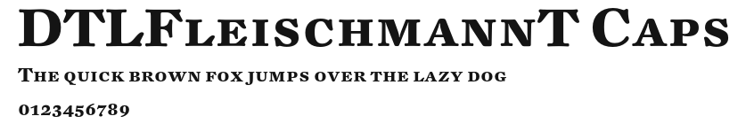DTLFleischmannT Caps Preview