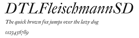 DTLFleischmannSD Preview