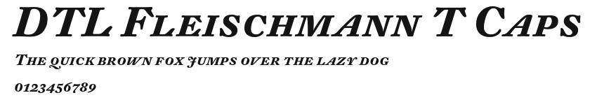 DTL Fleischmann T Caps Preview