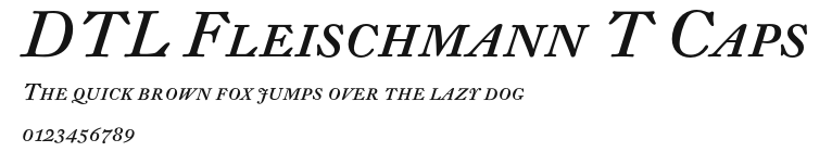 DTL Fleischmann T Caps Preview