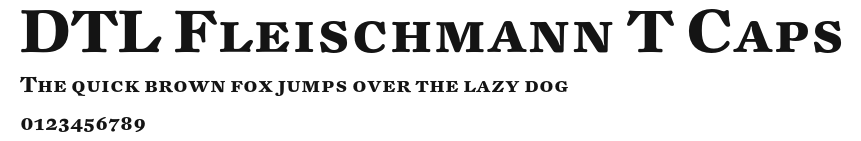DTL Fleischmann T Caps Preview