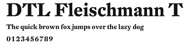 DTL Fleischmann T Preview