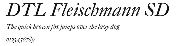 DTL Fleischmann SD Preview