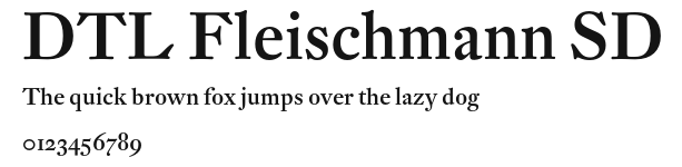DTL Fleischmann SD Preview