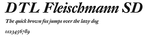 DTL Fleischmann SD Preview