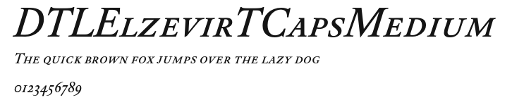 DTLElzevirTCapsMedium Preview