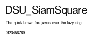 DSU_SiamSquare Preview