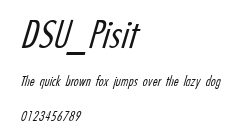 DSU_Pisit Preview