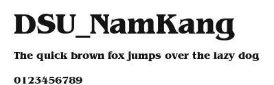 DSU_NamKang Preview