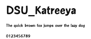 DSU_Katreeya Preview