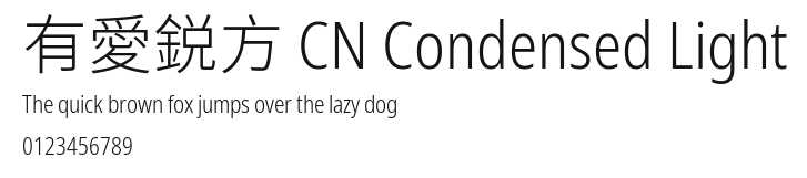 有愛鋭方 CN Condensed Light Preview