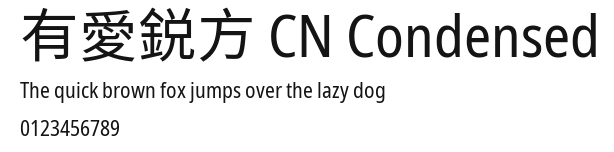 有愛鋭方 CN Condensed Preview