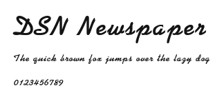 DSN Newspaper Preview
