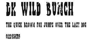 DK Wild Bunch Preview
