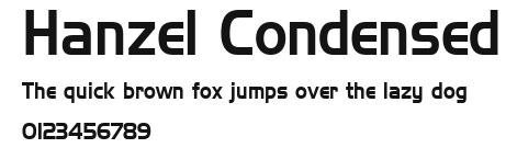 Hanzel Condensed Preview