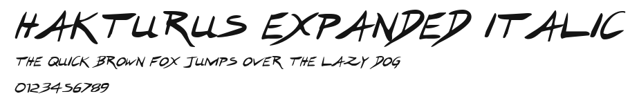Hakturus Expanded Italic.ttf