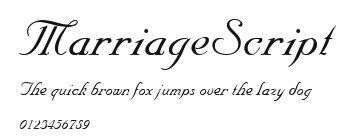 MarriageScript Preview